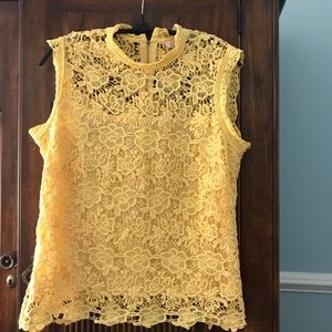 Beautiful lace sleeveless top. Zipper in back